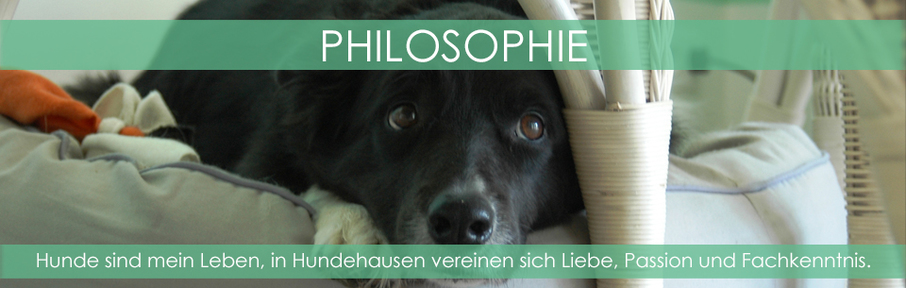 Hundehausen Philosophie
